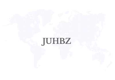 Local Service, Global Standards: the International Expansion Strategy of JUHBZ