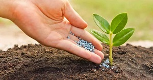 Biopesticides Market Poised for a 10.85% CAGR, Reaching USD 15.74 Billion by 2032