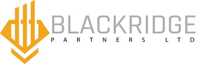 Blackridge Partners Uses AI to Find Top Investments in 24 Major AI Innovations