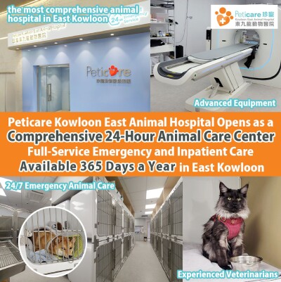 Peticare Kowloon East Animal Hospital Opens as a Comprehensive 24-Hour Animal Care Center