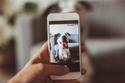 Mars Puts Pet Health in Pet Parents' Hands with new Artificial Intelligence Powered Tools
