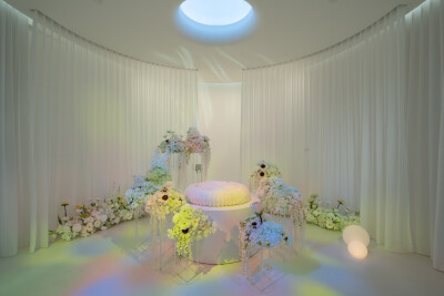 The Team Behind Casket Fairprice Launches Everpet, a Pet Funeral Company in Singapore