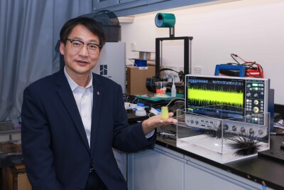 PolyU research unveils mechanoelectrical perception in sea urchin spines, empowering next-generation biomimetic sensors