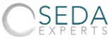 Dr. Elizabeth Mays Joins SEDA Experts as Managing Director, Bringing More Than 30 Years of Experience in Quantitative Modeling and Analytics