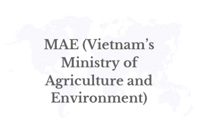 Economy, Science & Technology, And Environment: The Three New Pillars Of Vietnam - India Cooperation
